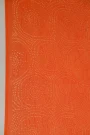 CGF323648 (3)