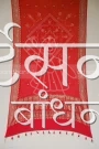 CGDP24351 (3)