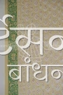 CGDP25922 (4)