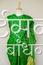 GSSR35 (2)