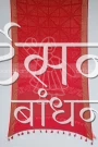 MS4025396 (3)