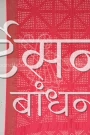 MS4025398 (4)