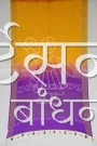 MS4025400 (3)