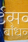 MS4025417 (2)