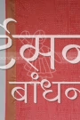 MS4025418 (4)