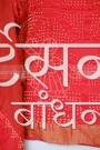 MS4025447 (2)