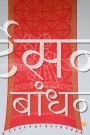 MS4025447 (3)