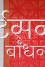 MS4025447 (4)