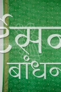 MS4025727 (4)