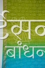 MS4025728 (3)