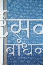 MS4025747 (4)