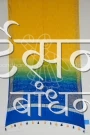 MS4025763 (3)