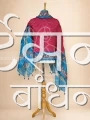 MSDP23 (1)