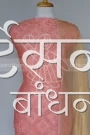 MSDR24183 (2)