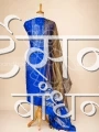 MSDR24729 (1)