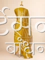 MSDR26246 (1)
