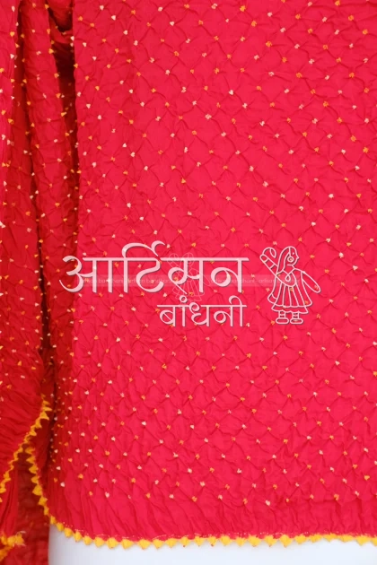 SGDP27764 (2)