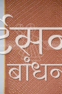 SGDP27765 (4)