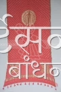 MS4025136 (2)