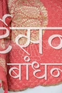 MS4025136 (4)