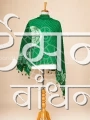 MS4025143 (1)
