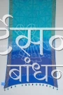 MS4025420 (2)