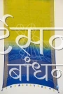 MS4025433 (3)